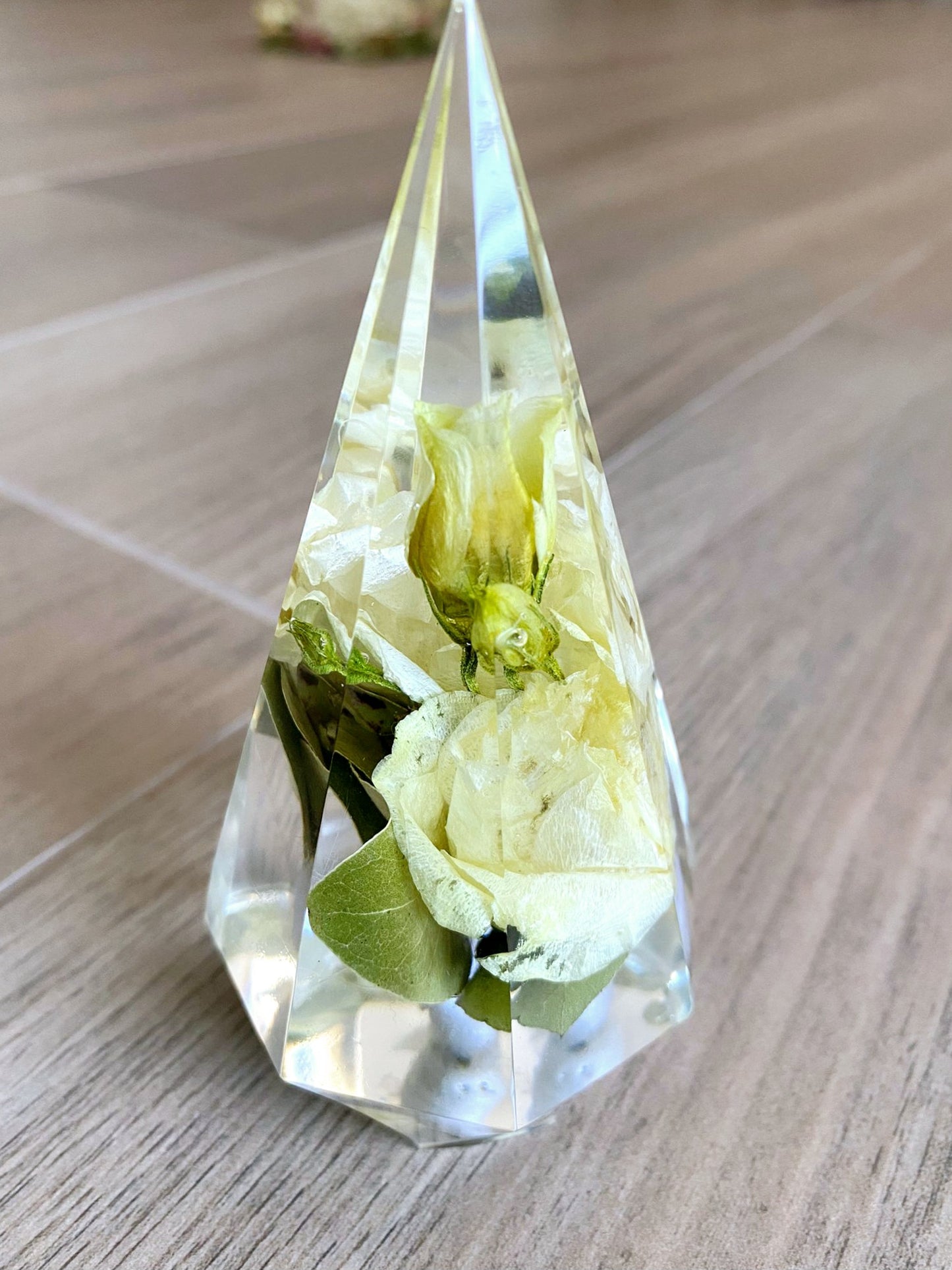 Prism ring holder