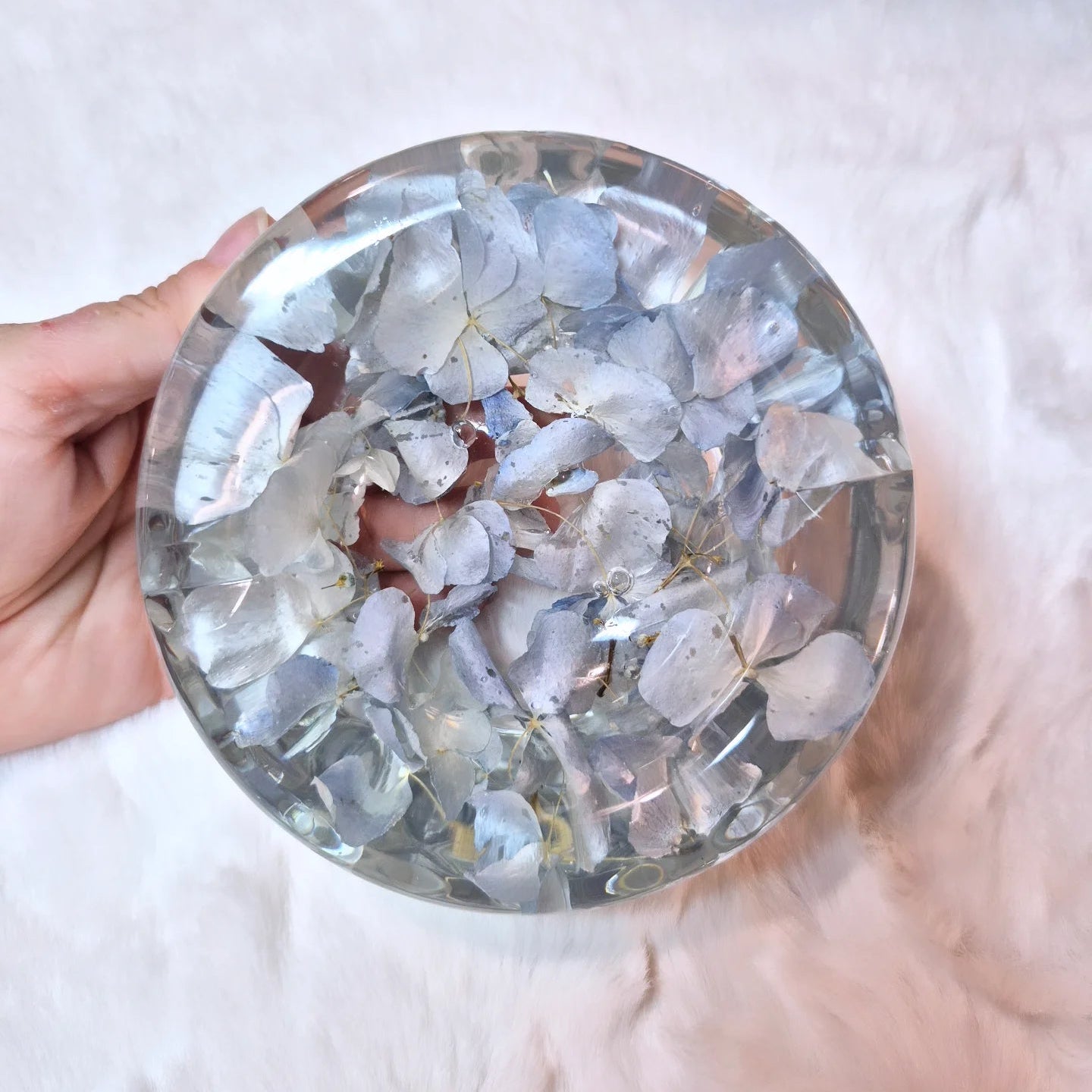 Set svuotatasche posacenere